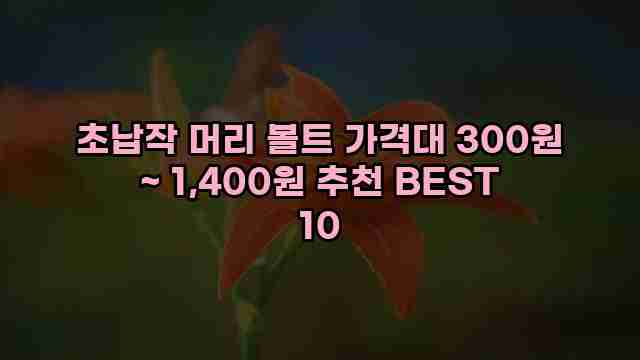 초납작 머리 볼트 가격대 300원 ~ 1,400원 추천 BEST 10