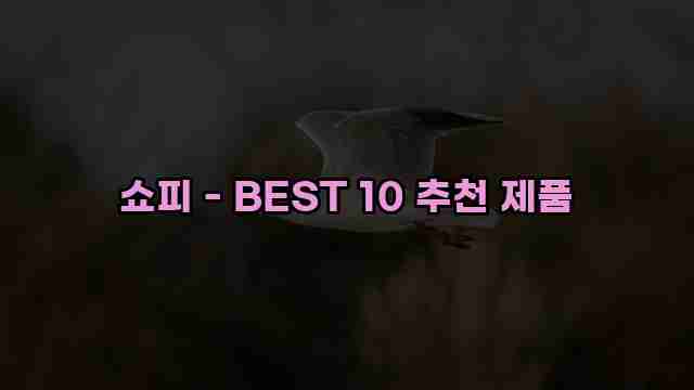 쇼피 - BEST 10 추천 제품 