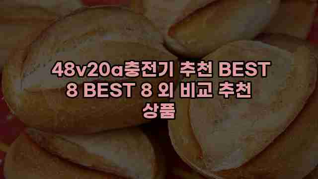  48v20a충전기 추천 BEST 8 BEST 8 외 비교 추천 상품