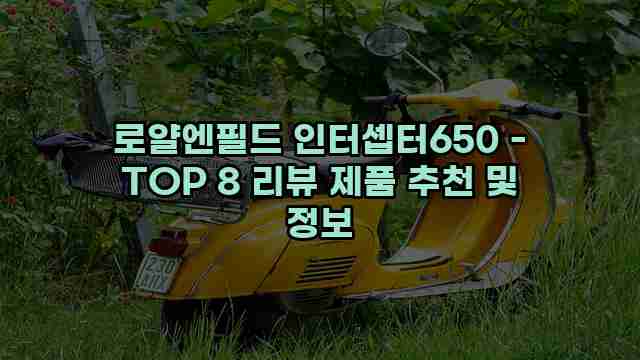 로얄엔필드 인터셉터650 - TOP 8 리뷰 제품 추천 및 정보