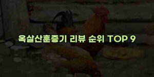 알리파파의 가성비 알리 제품 추천 53087 29