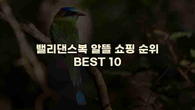 밸리댄스복 알뜰 쇼핑 순위 BEST 10