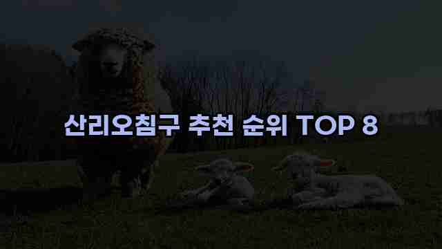 산리오침구 추천 순위 TOP 8