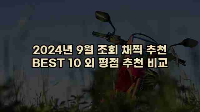 2024년 9월 조회 채찍 추천 BEST 10 외 평점 추천 비교