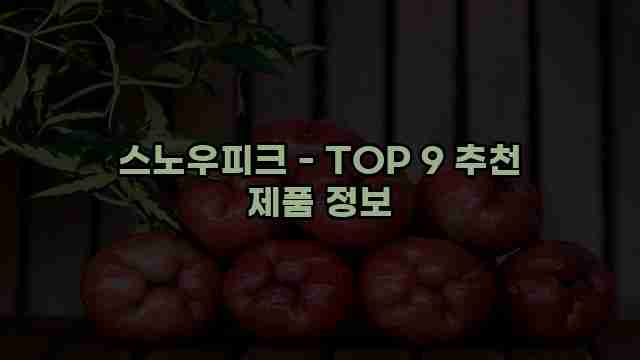 스노우피크 - TOP 9 추천 제품 정보