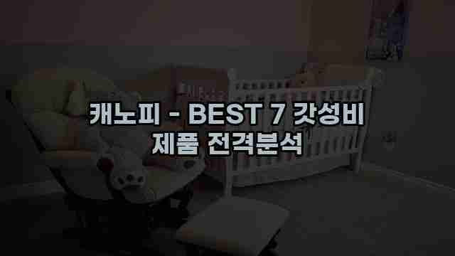 캐노피 - BEST 7 갓성비 제품 전격분석