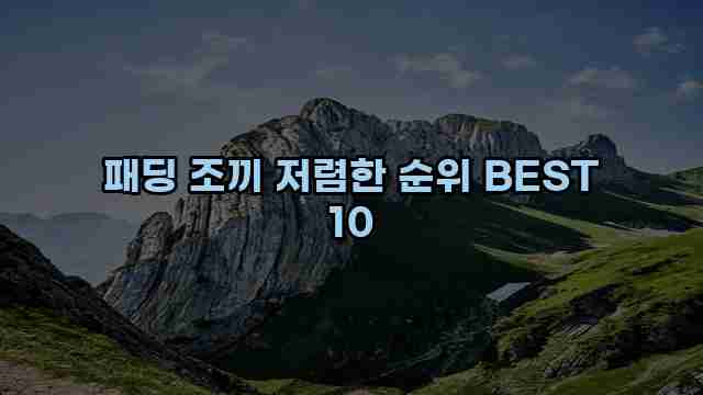 패딩 조끼 저렴한 순위 BEST 10