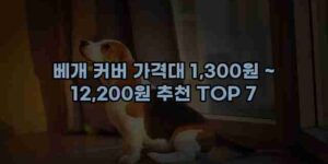알리파파의 가성비 알리 제품 추천 54138 15