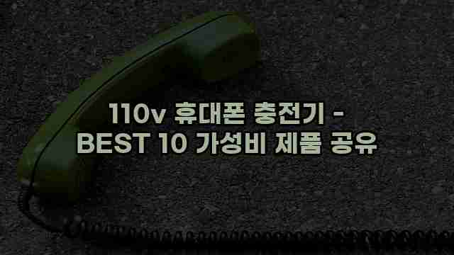 110v 휴대폰 충전기 - BEST 10 가성비 제품 공유