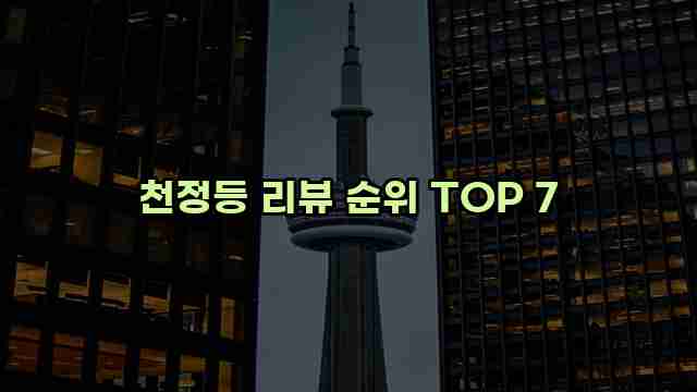 천정등 리뷰 순위 TOP 7