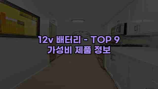 12v 배터리 - TOP 9 가성비 제품 정보