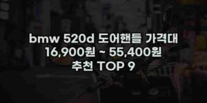 알리파파의 가성비 알리 제품 추천 44805 50