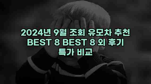 2024년 9월 조회 유모차 추천 BEST 8 BEST 8 외 후기 특가 비교