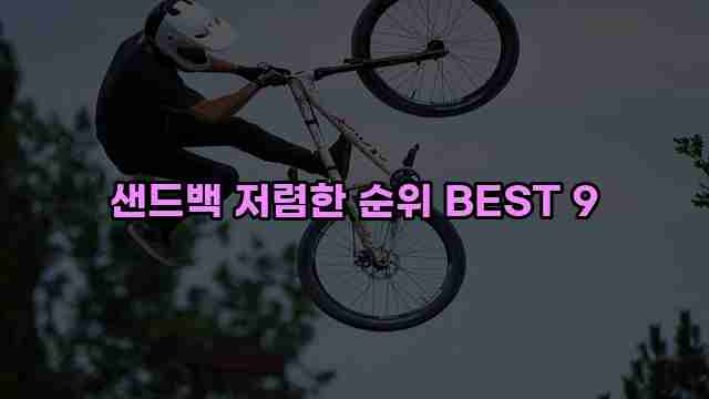 샌드백 저렴한 순위 BEST 9