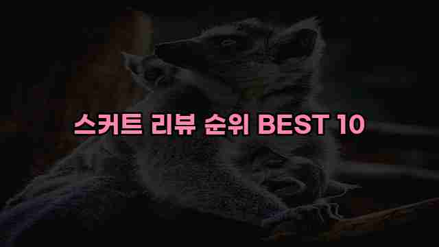 스커트 리뷰 순위 BEST 10