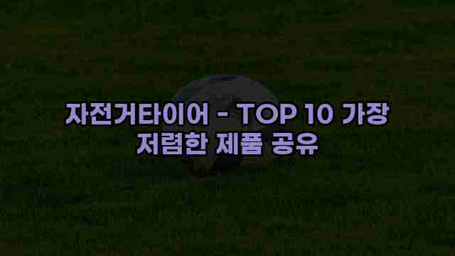 자전거타이어 - TOP 10 가장 저렴한 제품 공유