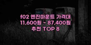 알리파파의 가성비 알리 제품 추천 44805 25