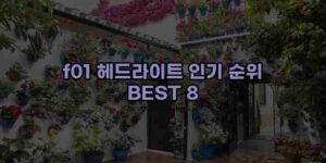 알리파파의 가성비 알리 제품 추천 44992 109