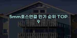 알리파파의 가성비 알리 제품 추천 45913 72