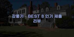 알리파파의 가성비 알리 제품 추천 45263 16