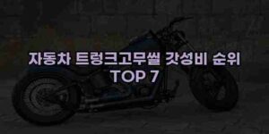 알리파파의 가성비 알리 제품 추천 45305 52