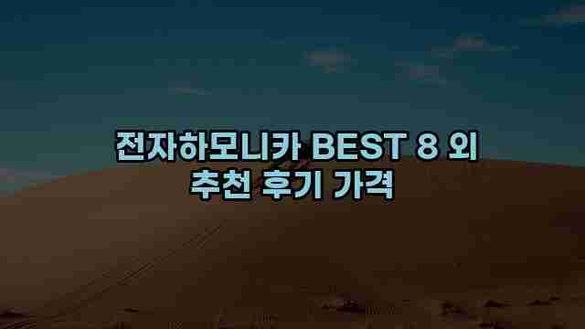  전자하모니카 BEST 8 외 추천 후기 가격