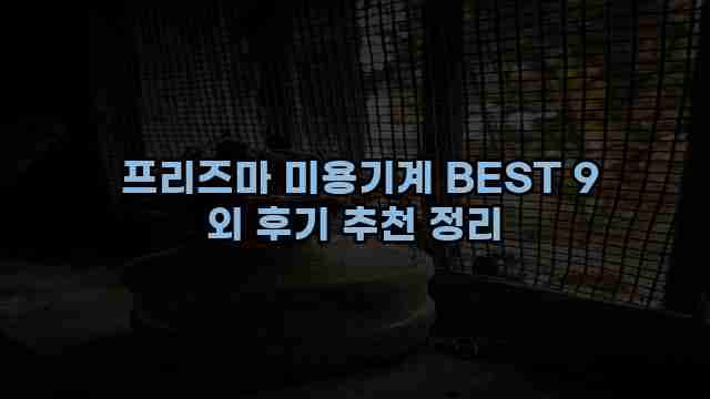  프리즈마 미용기계 BEST 9 외 후기 추천 정리