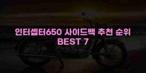 알리파파의 가성비 알리 제품 추천 45688 58