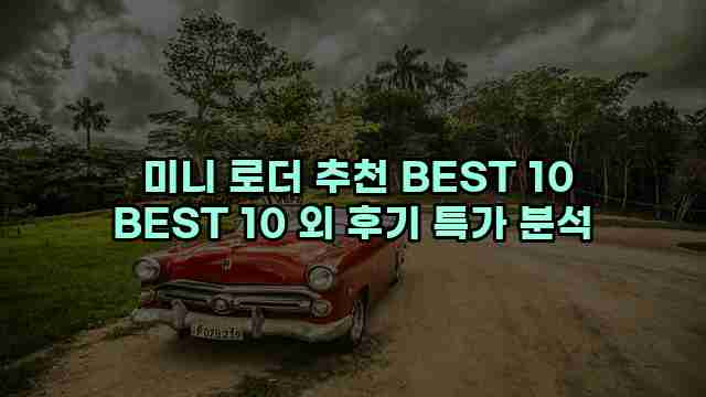  미니 로더 추천 BEST 10 BEST 10 외 후기 특가 분석