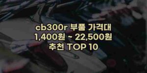 알리파파의 가성비 알리 제품 추천 45688 42