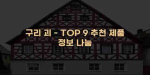 알리파파의 가성비 알리 제품 추천 44052 42