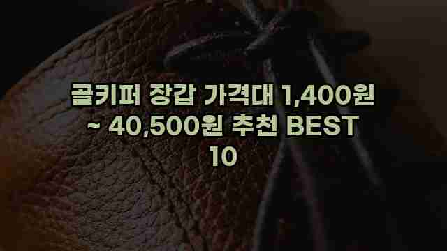 골키퍼 장갑 가격대 1,400원 ~ 40,500원 추천 BEST 10