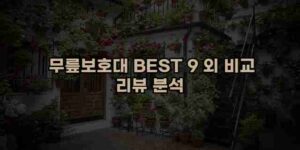 알리파파의 가성비 알리 제품 추천 45688 13