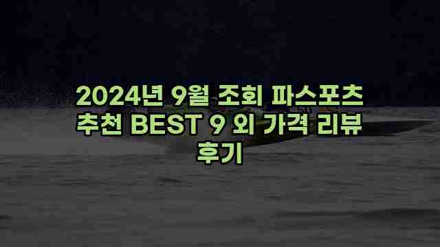 2024년 9월 조회 파스포츠 추천 BEST 9 외 가격 리뷰 후기