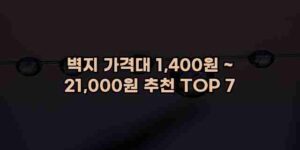 알리파파의 가성비 알리 제품 추천 46646 127