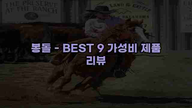 봉돌 - BEST 9 가성비 제품 리뷰