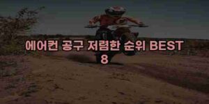 알리파파의 가성비 알리 제품 추천 51602 13