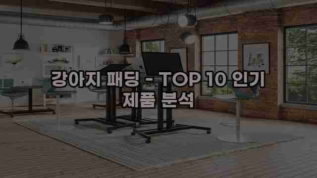 강아지 패딩 - TOP 10 인기 제품 분석