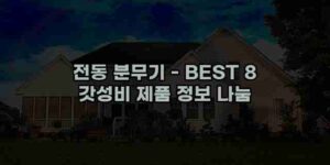 알리파파의 가성비 알리 제품 추천 54332 17