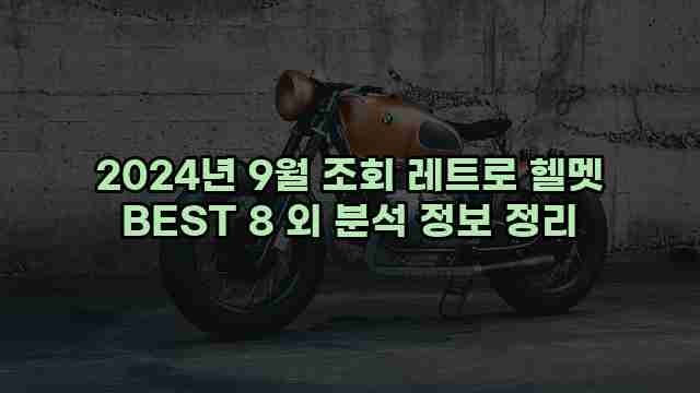 2024년 9월 조회 레트로 헬멧 BEST 8 외 분석 정보 정리