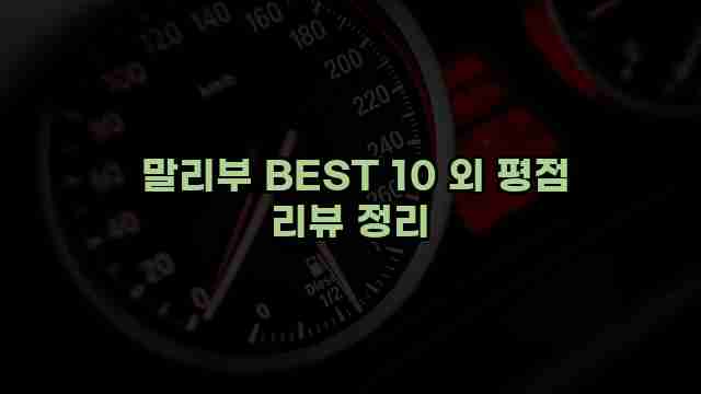  말리부 BEST 10 외 평점 리뷰 정리