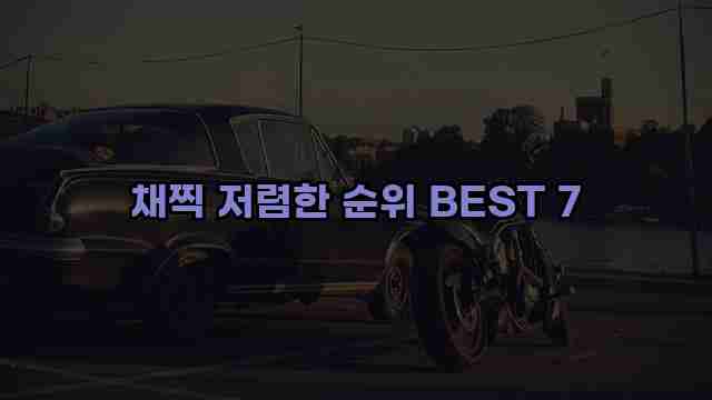 채찍 저렴한 순위 BEST 7