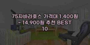 알리파파의 가성비 알리 제품 추천 44052 1