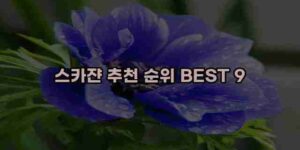 알리파파의 가성비 알리 제품 추천 47906 58
