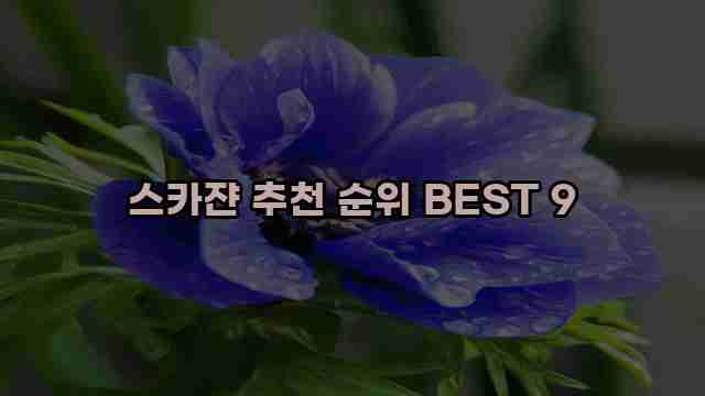 스카쟌 추천 순위 BEST 9 1 1 스카쟌 추천 순위 BEST 9