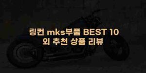 알리파파의 가성비 알리 제품 추천 44216 127