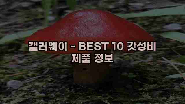 캘러웨이 - BEST 10 갓성비 제품 정보