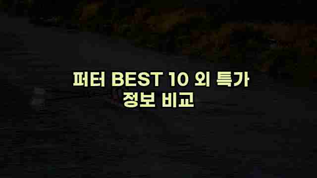  퍼터 BEST 10 외 특가 정보 비교