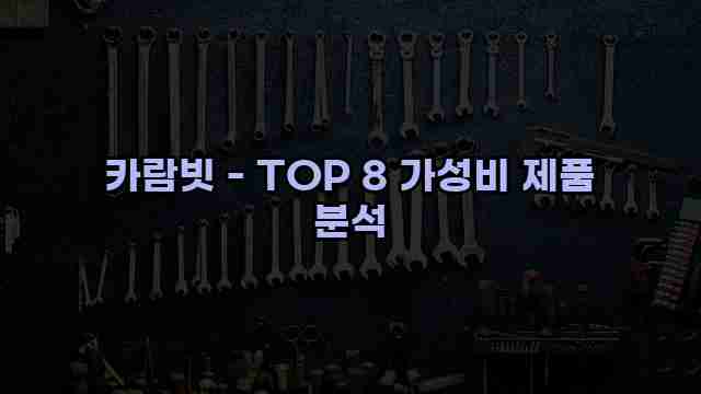 카람빗 - TOP 8 가성비 제품 분석