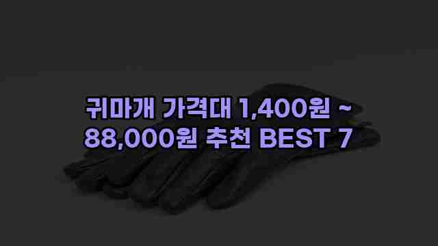 귀마개 가격대 1,400원 ~ 88,000원 추천 BEST 7